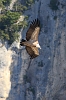 Gorges_du_Verdon_02